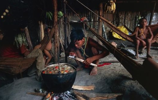 疫情影响下的巴西原住民接连死亡