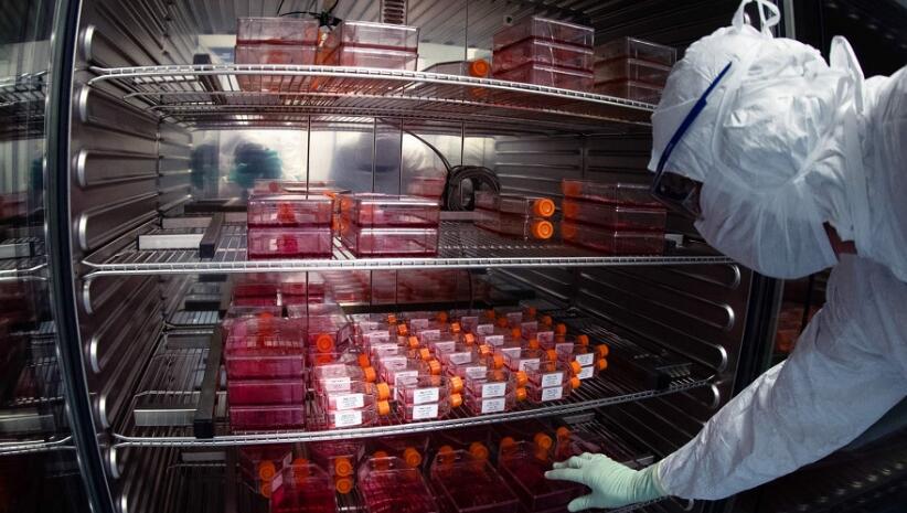 藥廠指首批運抵香港的四價流感疫苗正發往私院