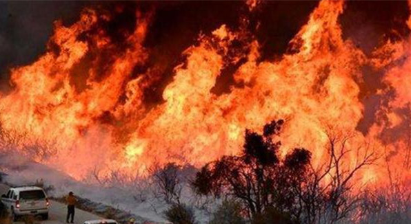 美政府拒绝就加州山火提供经济援助