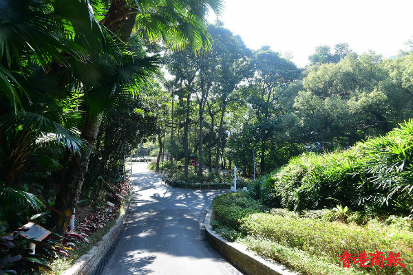 圖集 | 隱世清幽中葵涌公園 探古好去處