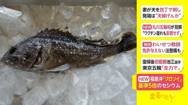 日本福島縣外海再現輻射魚 緊急叫停出貨