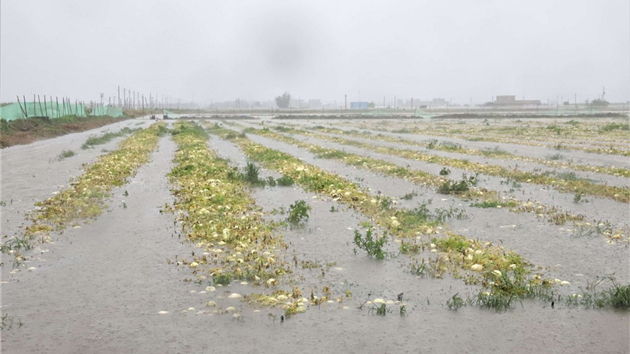 連日暴雨洪澇多發 台灣多地成「孤島」