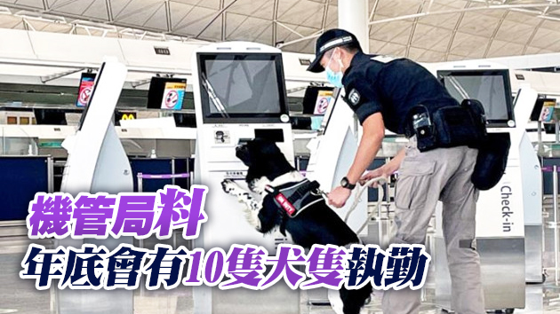 機管局：機場引入保安犬偵測危險品 兼任親善大使