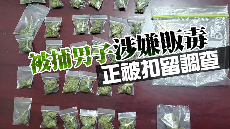 警方屯門拘販毒男 檢值1.4萬元毒品