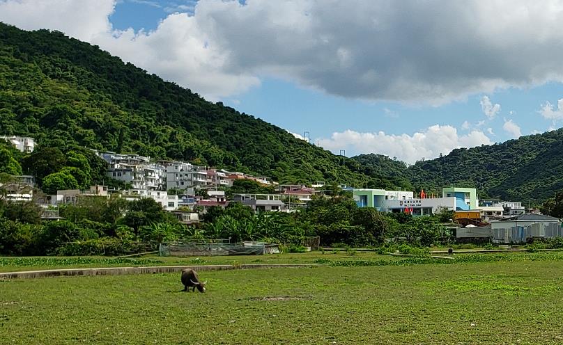 南大嶼山環境缺乏保護 環團冀政府堵塞法律漏洞保生態完整性