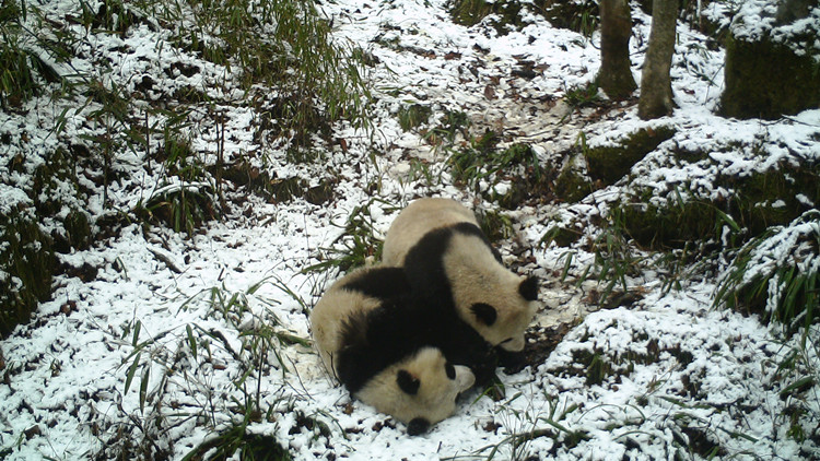 我國第一批國家公園公布  可以進入遊玩嗎？