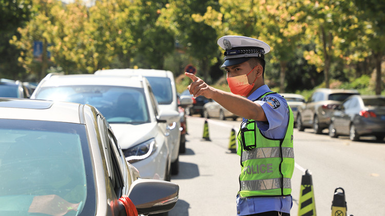 內地駕駛證電子化第二批來了   新增110個城市