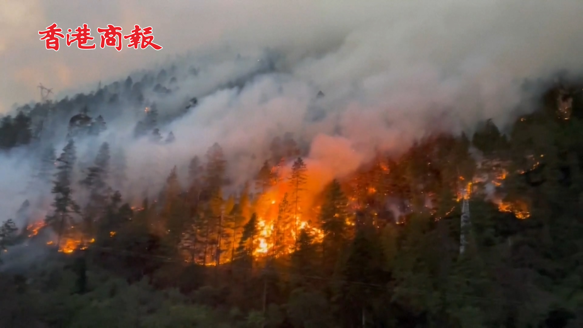 有片丨西藏林芝森林火災 應急管理部：開挖2條隔離帶防止火勢蔓延
