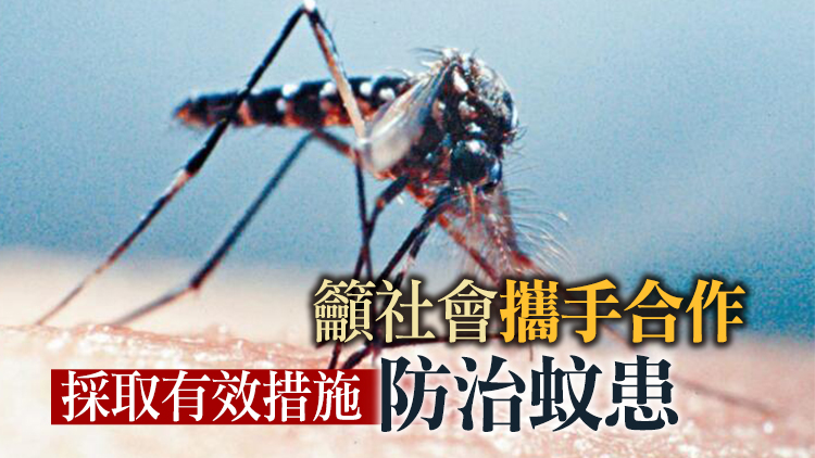 上月本港白紋伊蚊指數跌至2.8% 64個監察區均低於警戒水平