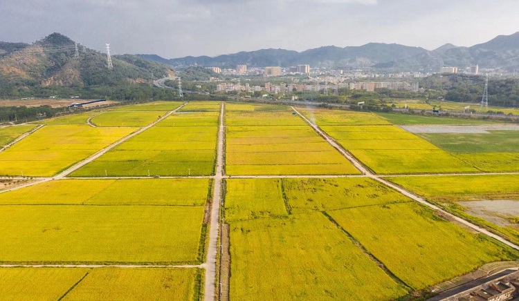 廣東：規範土地徵收成片開發 五種情形不予批准