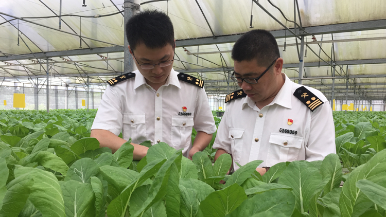 「粵字號」供港澳食品安全優質鮮活充裕