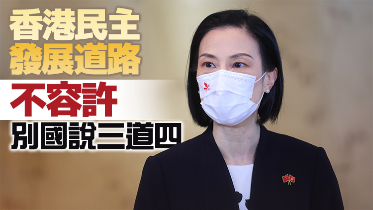 陳曼琪：只有中央是真心誠意推動和捍衛香港民主發展