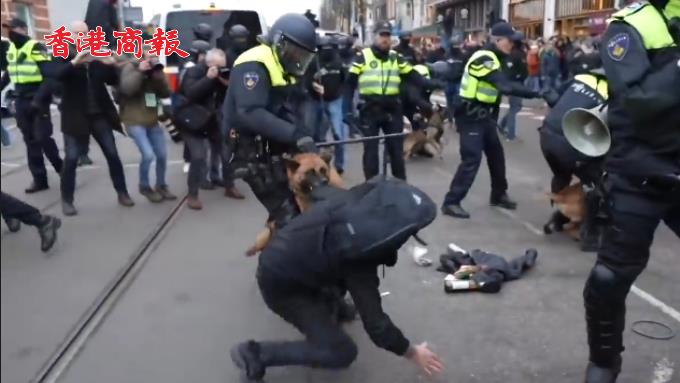 有片 | 荷蘭首都爆發反封鎖抗議 警察放狗撕咬示威者