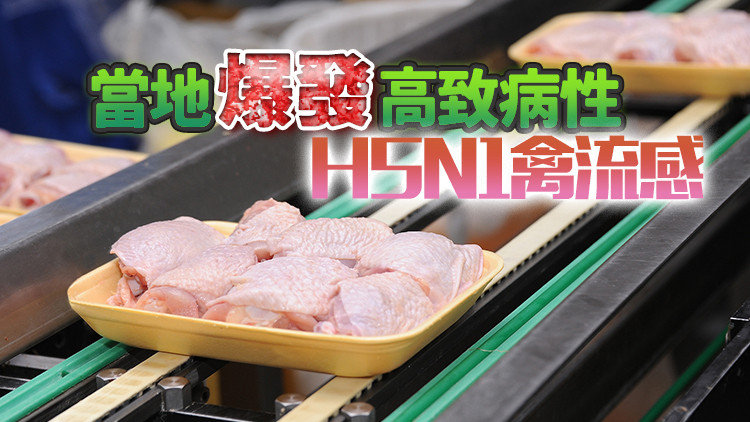 本港暫停進口意大利佛羅倫斯廣域市禽肉及禽類產品