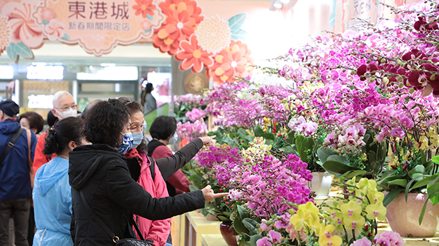 花商花農：慢慢適應疫下「新常態」 今年減少了入貨量