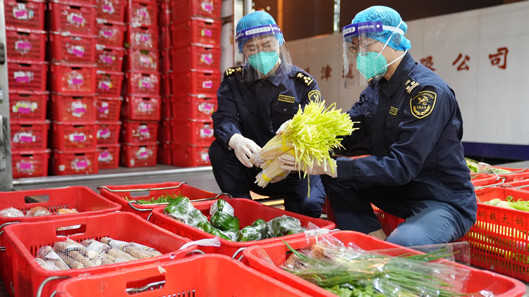 內地供港蔬菜今年已破10萬噸