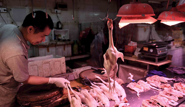 本港暫停進口韓國慶尚南道河東郡禽肉及禽類產品