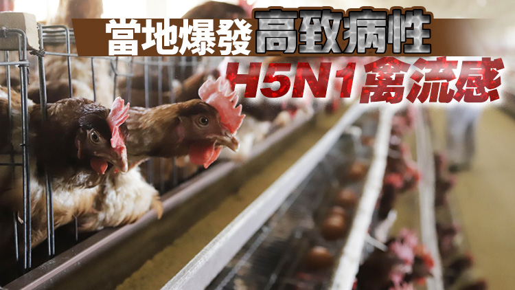 本港暫停進口美國、德國和法國部分地區禽肉及禽類產品