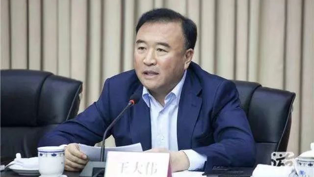 遼寧省副省長、省公安廳廳長王大偉接受審查調查