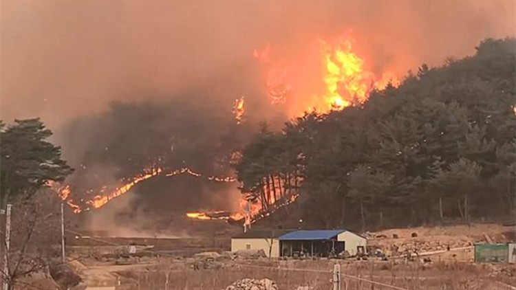 有片 | 韓國核電站附近發生山火 近4000居民被緊急疏散