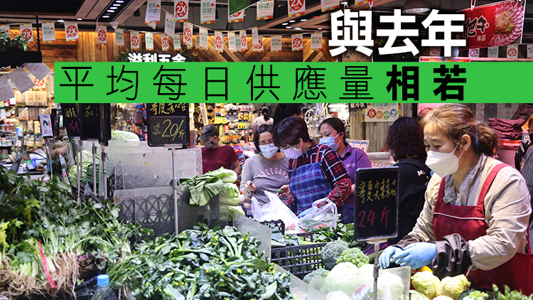 22日內地供港蔬菜逾2200公噸 鮮活食品供應充足穩定