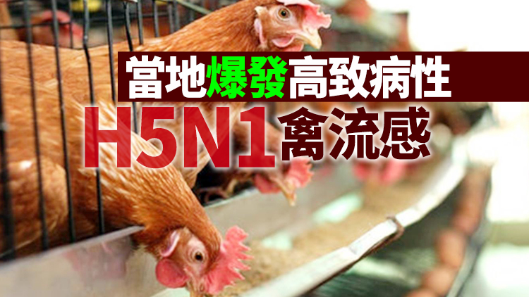 食安中心：暫停進口美國部分地區禽肉及禽類產品