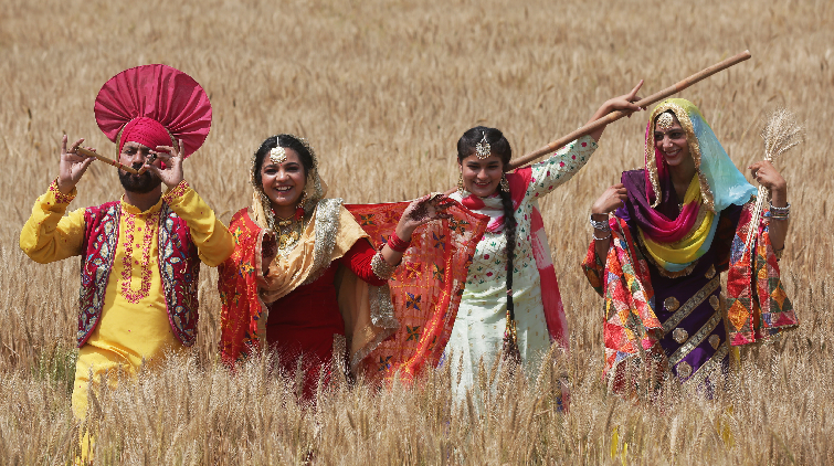圖集 | 印度民眾忙收割 田間起舞慶豐收