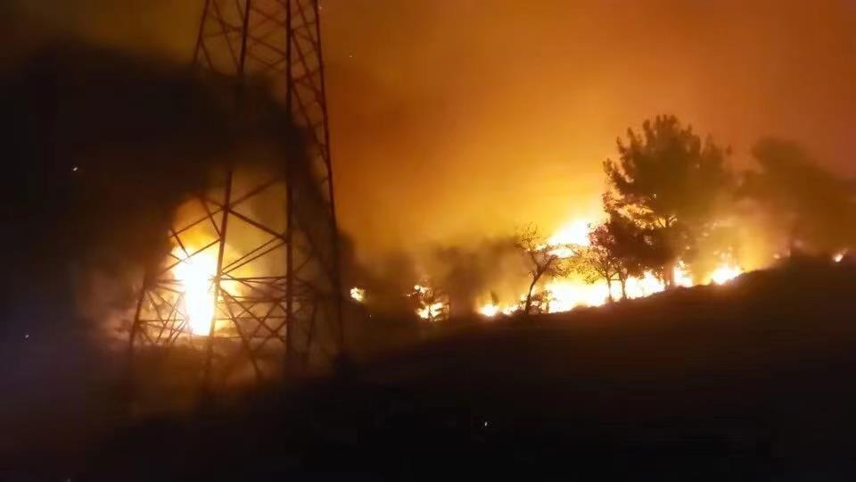 土耳其哈塔伊省發生森林火災 起火原因尚不明確