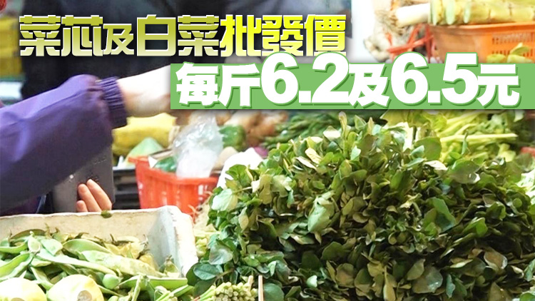 17日內地供港蔬菜2600公噸 鮮活食品供應充足穩定