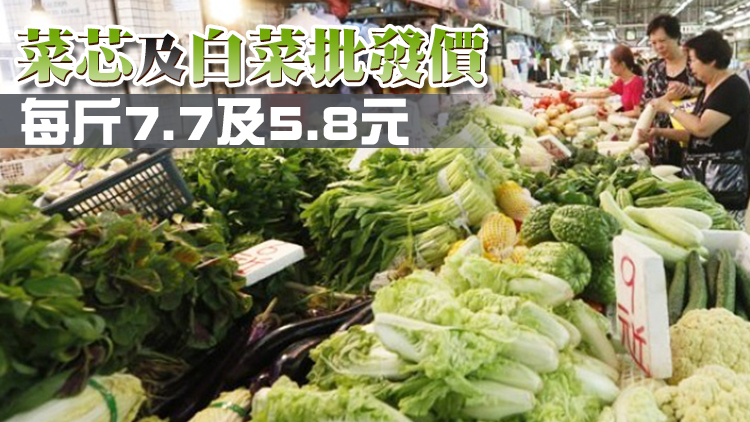 16日內地供港蔬菜逾2600公噸 與平日供應量相若