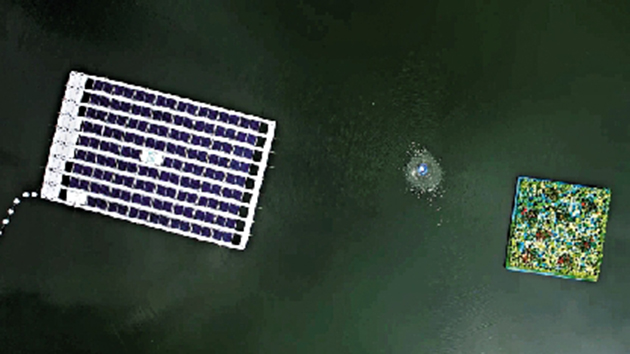 新田蓄洪池太陽能每年發電4.7萬度 池面首設「生態浮島」
