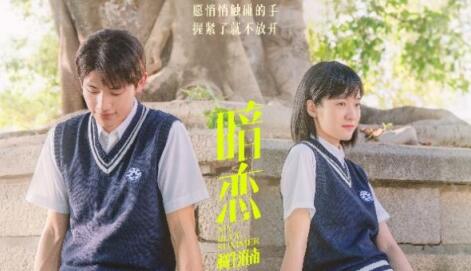 第十七屆中國長春電影節參賽影片|關於愛情的無數種樣子