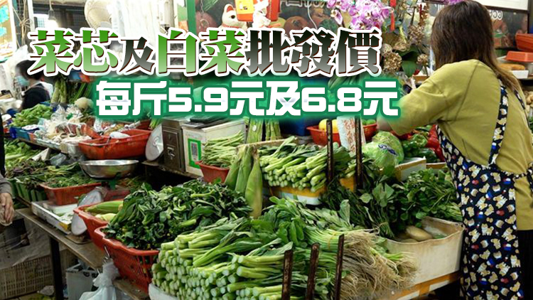 12日內地供港蔬菜2600公噸 鮮活食品供應充足穩定