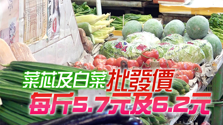 13日內地供港蔬菜2600公噸 鮮活食品供應充足穩定