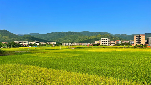 汕尾陸豐入選國家鄉村振興示範縣創建名單