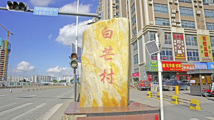 港深地名故事｜【有片】 深港兩白芒 村名因何來 芒草開花白茫茫