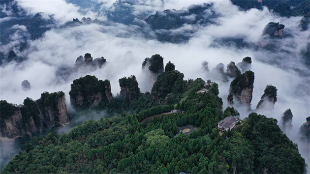 張家界：中國第一個國家森林公園迎來40歲生日