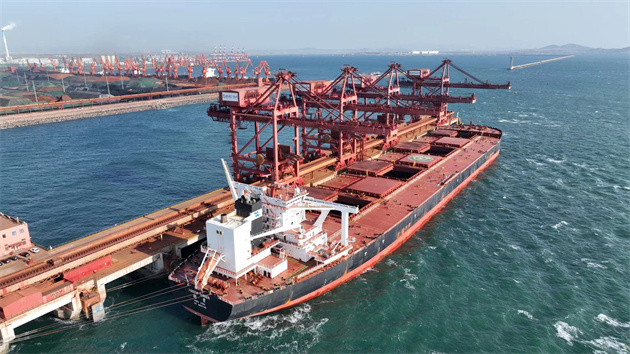 山東港口青島港完成第300條40萬噸級大礦船裝卸