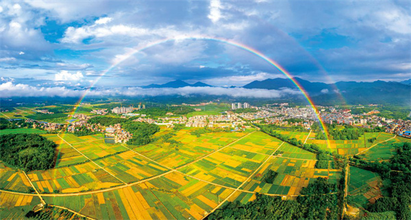 廣州增城：示範帶促全域振興 繪就宜居宜業和美畫卷
