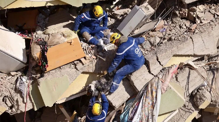 強震致土耳其逾3.6萬人遇難 兩名男子被埋261小時後獲救