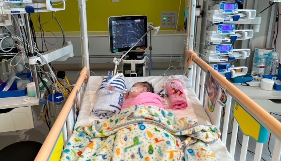 香港兒童醫院：換心女嬰芷希康復理想 毋須再用強心藥呼吸器