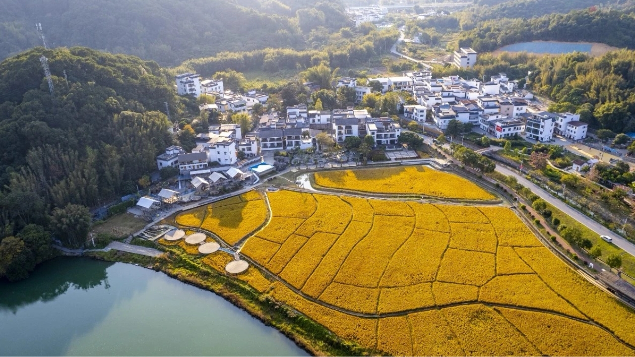 廣州從化上榜「2022年全國村莊清潔行動先進縣」