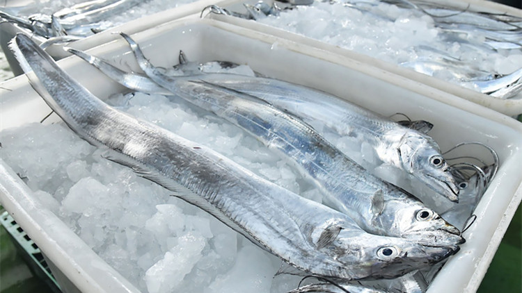 大陸恢復台灣冰鮮白帶魚、凍竹莢魚輸入