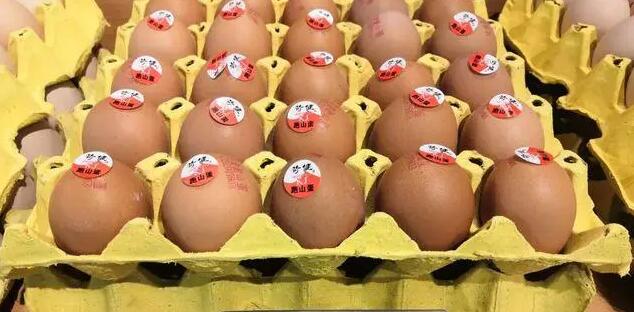 日本因禽流感撲殺1600萬只禽類 雞蛋價格飆升