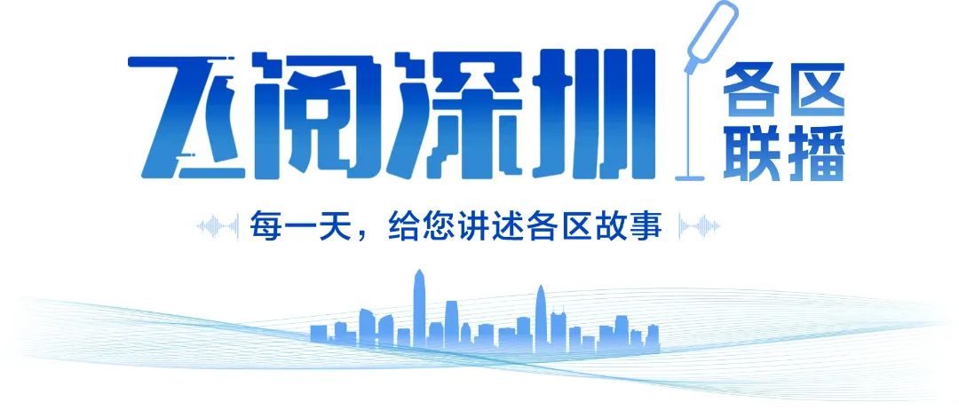 飛閱深圳·各區聯播 | 跨海鐵路、深惠城際……最新進展來了！