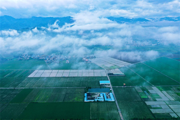 廣東始興21萬畝高標準農田 築牢「粵北糧倉」