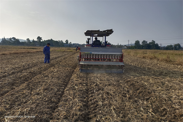 四川江油：2724家新型農業經營主體成鄉村振興新「引擎」