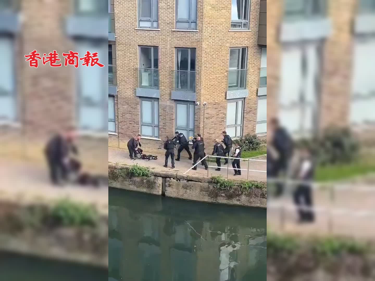 有片｜ 英國倫敦警察開槍擊斃2狗 主人被控管有危險狗隻