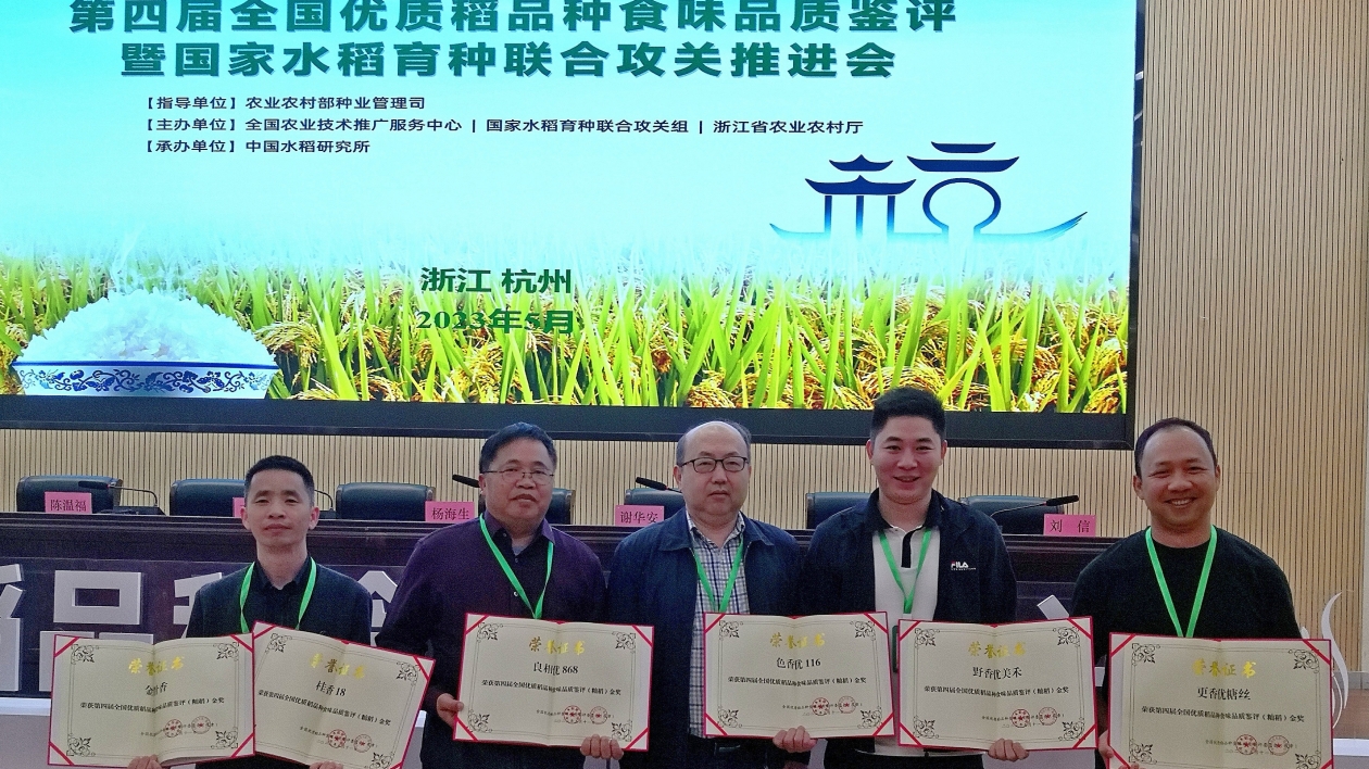 廣西優質稻育種保持全國領先 5個秈稻品種再獲全國金獎