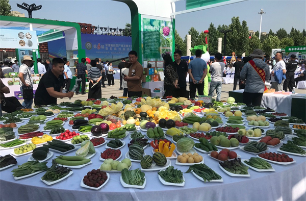 好一場冀菜盛宴 ——第六屆京津冀蔬菜產業發展大會成果豐碩